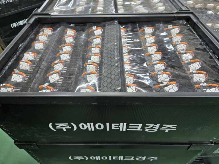 KakaoTalk_20251222_101933011